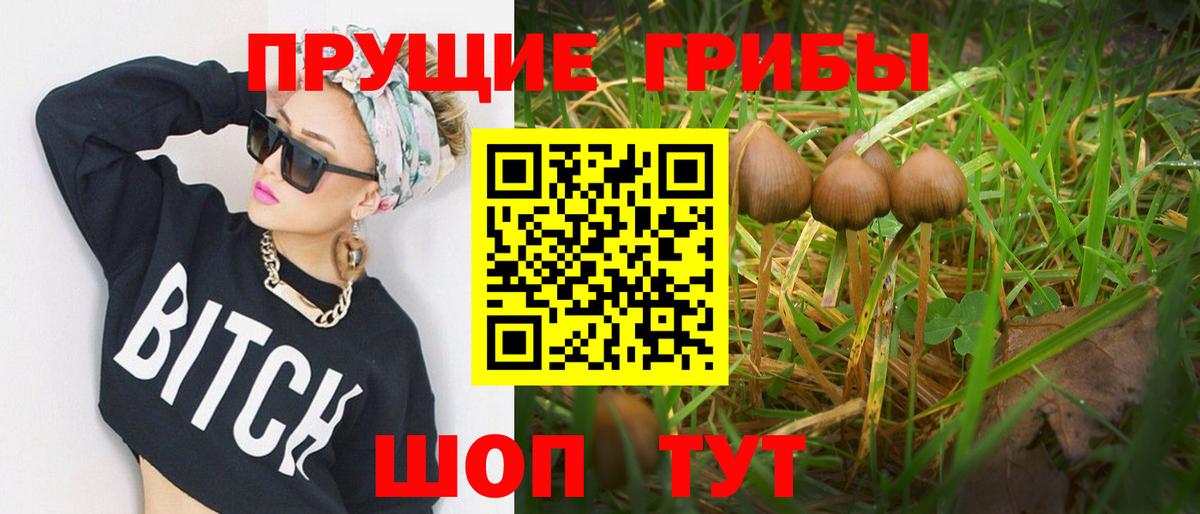 Галлюциногенные грибы ЛСД Москва