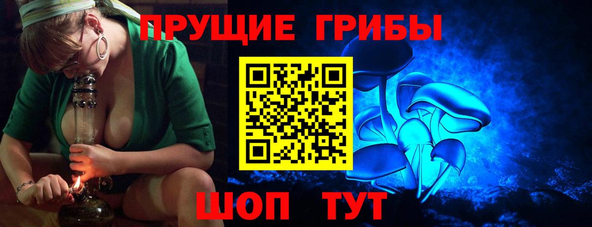 Псилоцибиновые грибы Psilocybine cubensis  Вход с VPN  Москва 